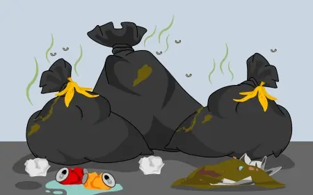 Mengenal Istilah Susut, Sisa Pangan dan Sampah Makanan: Terminologi Baru untuk Pengelolaan Limbah Pangan