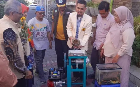 Kolaborasi UWKS dan Kampung Sayur Ondomohen: Inovasi Budidaya Ikan Zebra Pink dan Maggot untuk Pemberdayaan Masyarakat