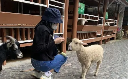 Momen HUT RI, Baloga dan Musang Berikan Diskon Besar