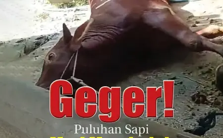 eKoran, Edisi Kamis, 22 Agustus 2024
