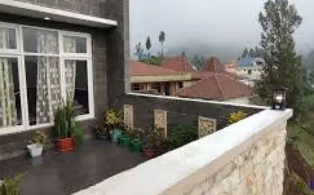 Bromo Surya Indah Penginapan Bernuansa Langsung Gunung  Bromo