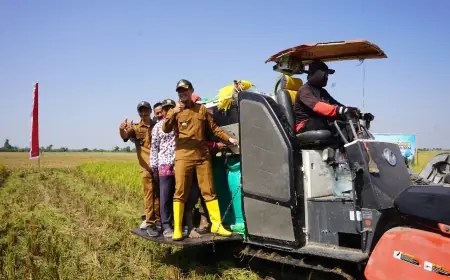 Panen Raya, Kabupaten Tuban Jadi Lumbung Pangan Nasional