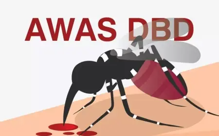 Endemis Demam Berdarah, Pemkab Probolinggo Akan Vaksin DBD untuk Pelajar SD