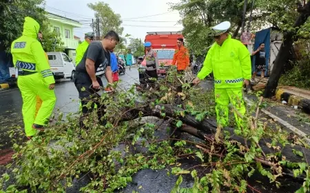 Polres Madiun Kota Bersama BPBD Evakuasi Pohon Tumbang Akibat Hujan Deras Disertai Angin.