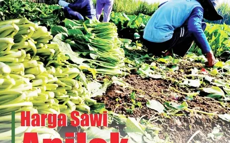 eKoran, Edisi Kamis, 12 September 2024