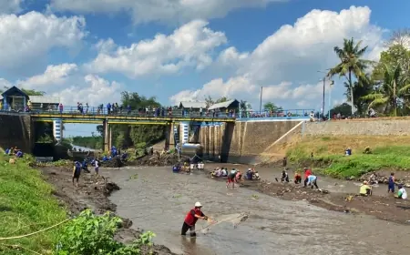 Tim Gabungan Lakukan Gelontor Walet, Masyarakat Berebut Ikan di Bendungan Pondok Waluh Jember