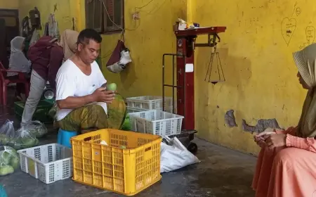 Gara-Gara Kena Hama Trip, Petani Mangga Alpukat Mengelus Dada Belum Bisa Panen Raya