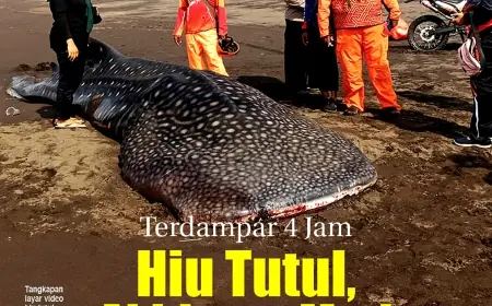 eKoran, Edisi Ahad, 22 September 2024