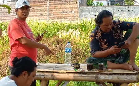 Bayi Perempuan Ditelantarkan Orang Tuanya, Ditemukan Sudah Membiru