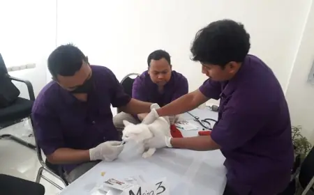 Hari Rabies Sedunia, Ratusan Kucing di Bondowoso Vaksinasi dan Kastrasi Gratis