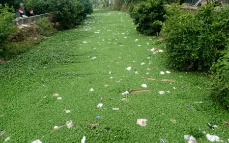 Unik! Aliran Sungai Catak Banteng Jombang Berwarna Hijau Kombinasi Sampah Mengapung