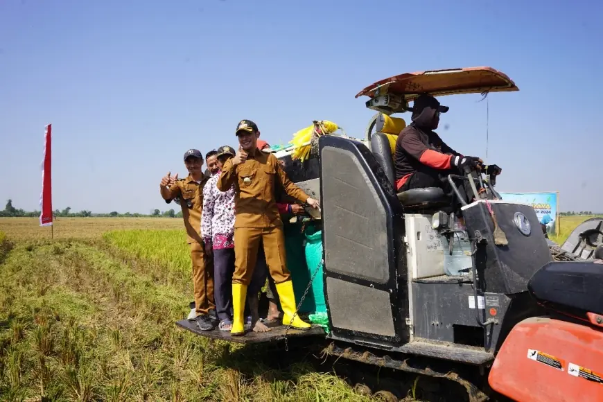 Panen Raya, Kabupaten Tuban Jadi Lumbung Pangan Nasional