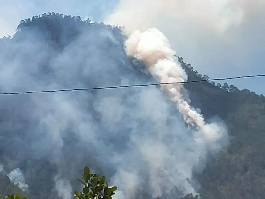 Kota Batu Waspada Karhutla Sepanjang Musim Kemarau