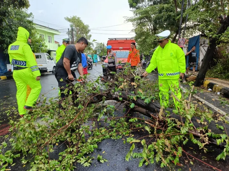 Polres Madiun Kota Bersama BPBD Evakuasi Pohon Tumbang Akibat Hujan Deras Disertai Angin.