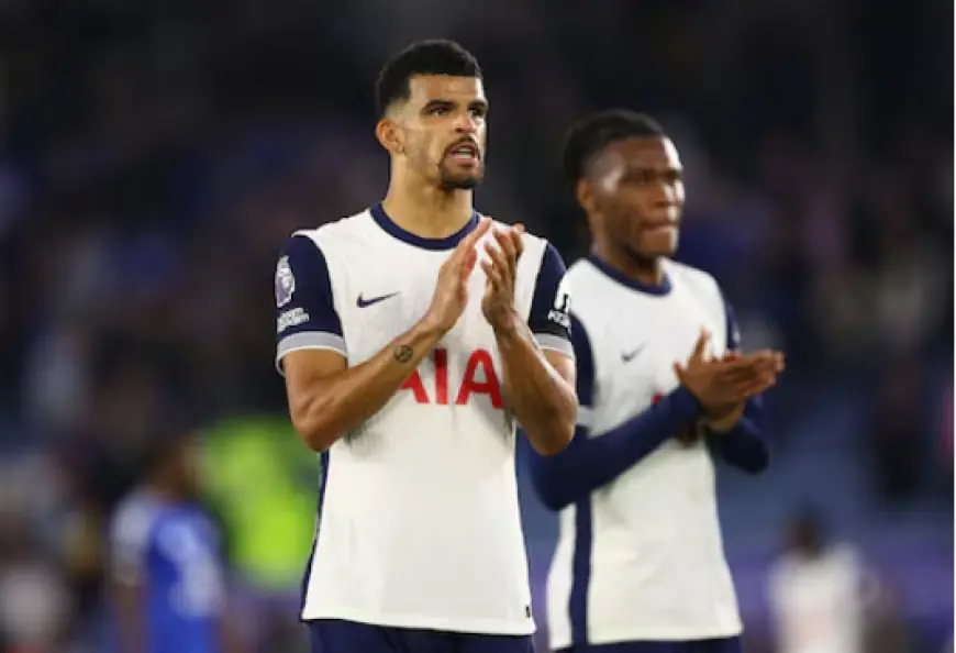 Dominic Solanke Bakal Perkuat Tottenham Hotspur Saat Jamu Arsenal