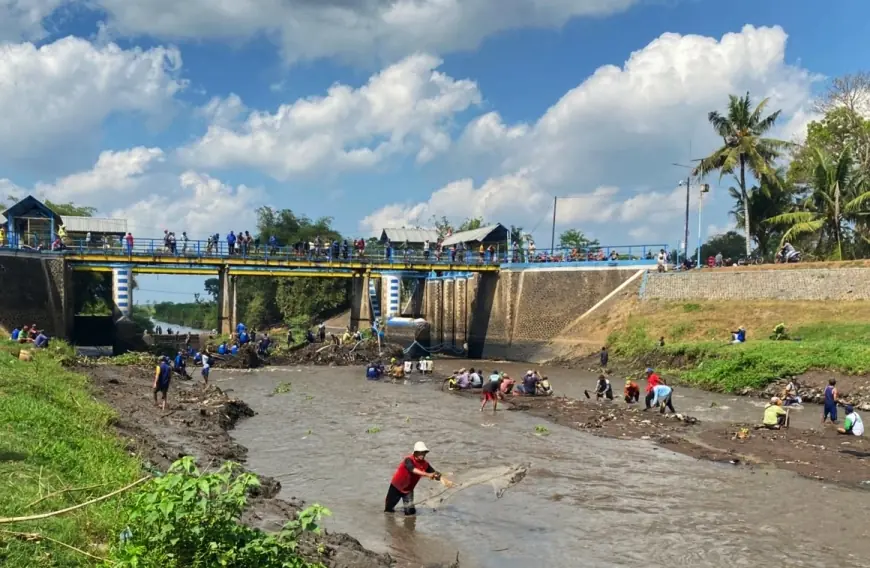 Tim Gabungan Lakukan Gelontor Walet, Masyarakat Berebut Ikan di Bendungan Pondok Waluh Jember