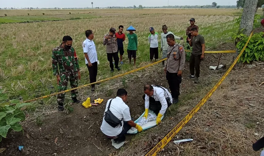 Warga Bojonegoro Temukan Jasad Bayi di Sawah