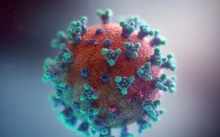 Apa Itu Virus Marburg dan Bagaimana Mencegahnya?