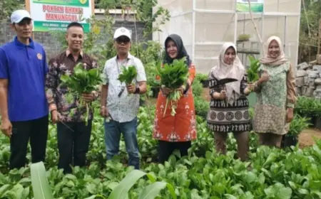 Manfaatkan Pekarangan untuk Program Pangan, Warga di Probolinggo Ikut Tekan Stunting