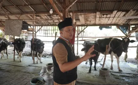 Energi Mandiri di Desa Balunganyar Jadi Program Unggulan Paslon Nomer 02