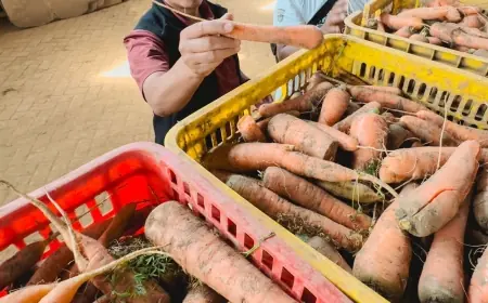 Pegiat Petani Desa di Kota Batu All Out Dukung Paslon NH
