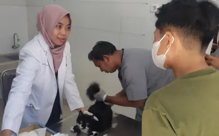 Vaksinasi Rabies Gratis Disnak Jatim di Peringatan Hari Rabies Sedunia 2024