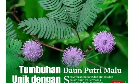 eKoran, Edisi Selasa, 15 Oktober 2024