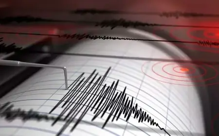 Guncangan Hebat di Turki, Gempa Magnitudo 5,9 Lukai 187 Orang dan Hancurkan Bangunan