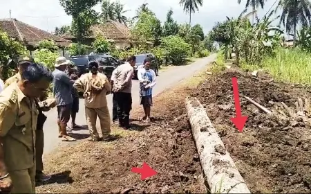 Limbah Blotong yang Disoal Warga Jember, Ternyata Banyak Manfaatnya