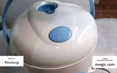 Cara Mudah Membersihkan Rice Cooker dengan Bahan Sederhana