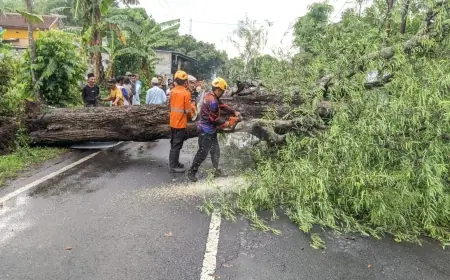 Peralihan Musim, Angin Puting Beliung Terjang Rumah Warga di Bondowoso