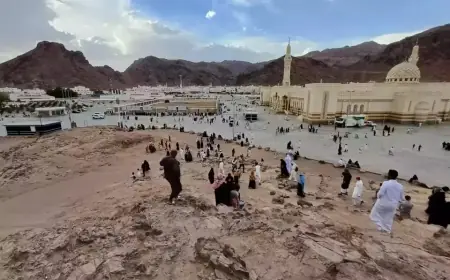 Hijaukan Madinah, Arab Saudi Gelar Proyek Tanam Pohon dan Tumbuhan