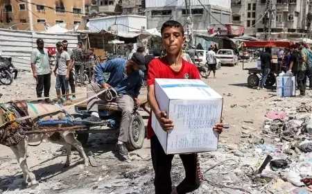 Israel Larang PBB di Palestina, Jadi Ancaman Serius bagi Pengungsi dan Bantuan Kemanusiaan