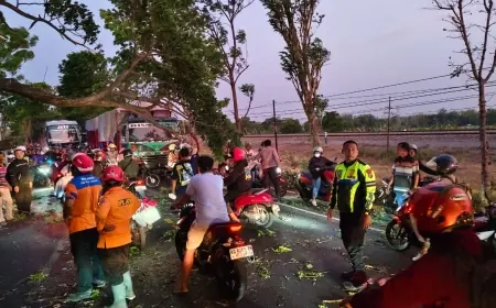 Sebuah Truk di Nganjuk Rusak Parah usai Tertimpa Pohon Tumbang