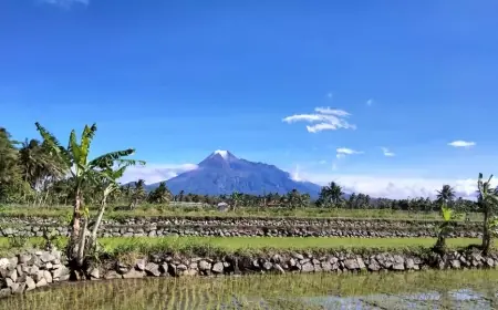 Swasembada Pangan Dipercaya Petani Cepat Tercapai dengan Program Cetak Sawah