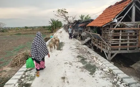 Dukung Program Ketahanan Pangan, Pemdes Pegundan Bangun Jalan Usaha Tani