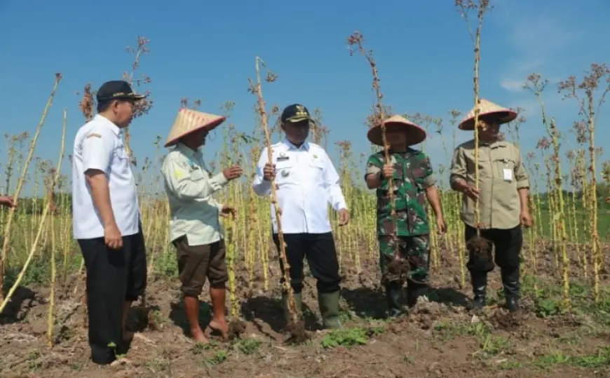 Kementan Bidik Probolinggo untuk Program PAT dengan Pompanisasi 1.735 Hektar