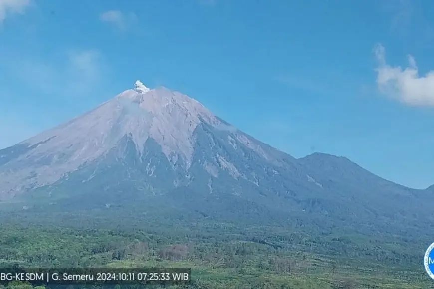 Waspada Pengamatan Kegempaan Gunung Semeru, Aktivitas Meningkat