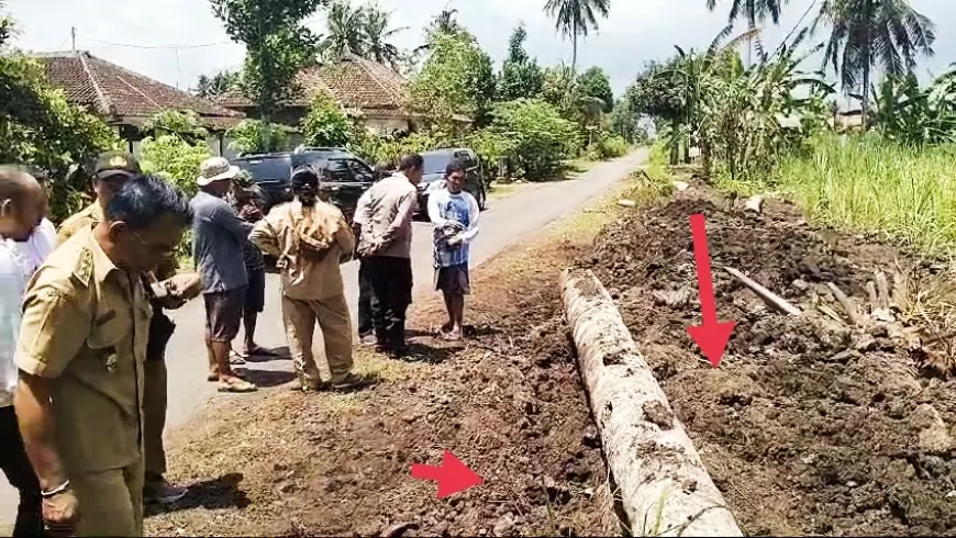 Limbah Blotong yang Disoal Warga Jember, Ternyata Banyak Manfaatnya