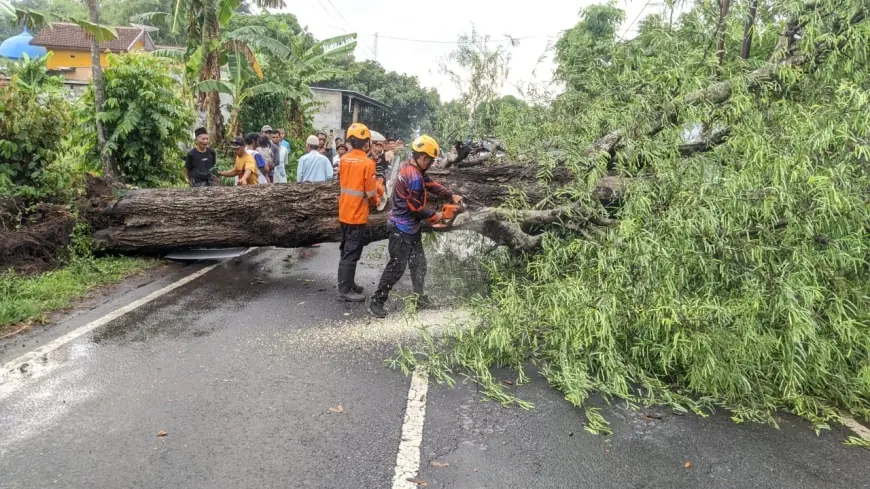 Peralihan Musim, Angin Puting Beliung Terjang Rumah Warga di Bondowoso