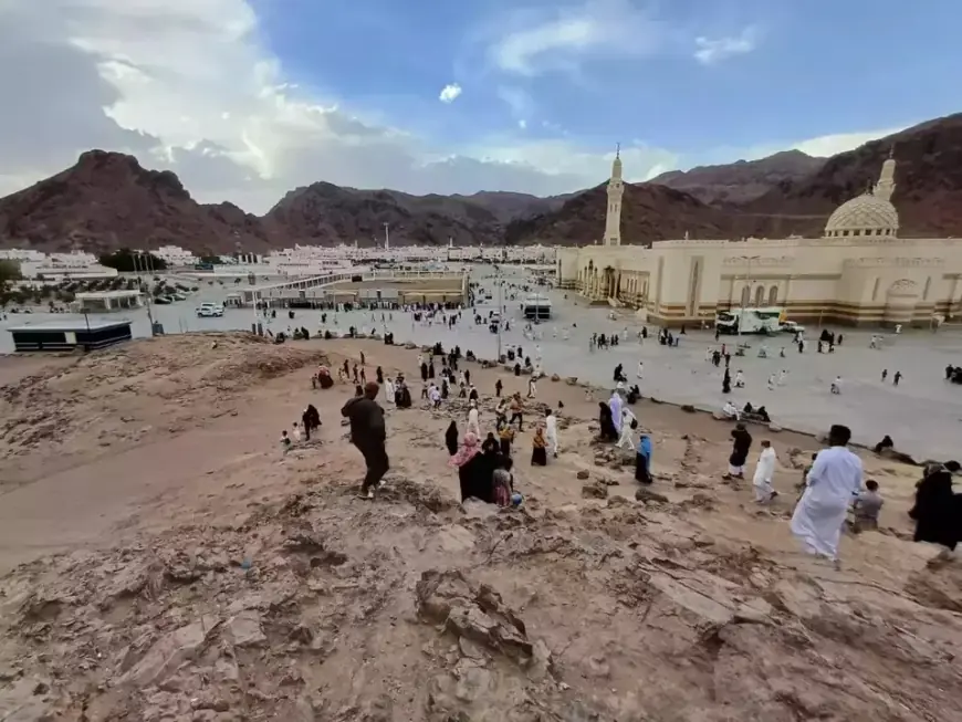 Hijaukan Madinah, Arab Saudi Gelar Proyek Tanam Pohon dan Tumbuhan