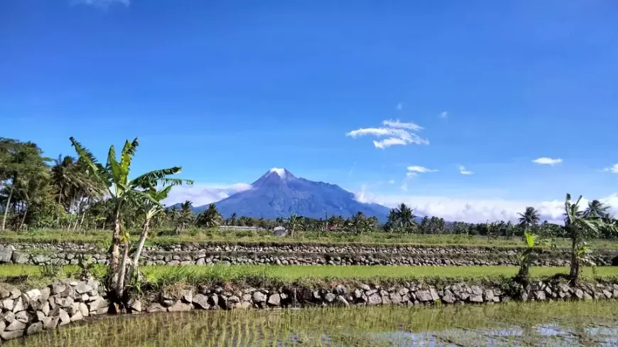 Swasembada Pangan Dipercaya Petani Cepat Tercapai dengan Program Cetak Sawah