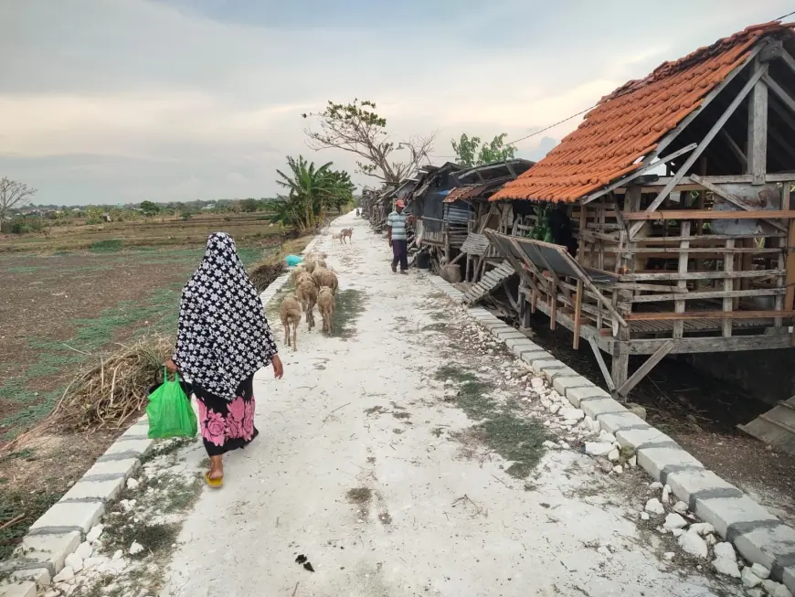 Dukung Program Ketahanan Pangan, Pemdes Pegundan Bangun Jalan Usaha Tani