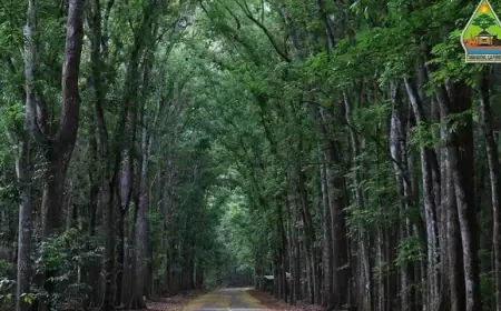 Terungkap! 5 Lokasi Paling Mistis di Jawa Timur yang Bikin Merinding