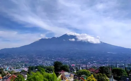 Jalur Pendakian Arjuno Ditutup, Puluhan Pendaki Balik Kucing