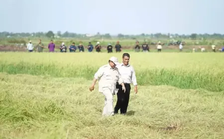 Presiden Prabowo Kunjungi Merauke untuk Dorong Swasembada Pangan Berkelanjutan