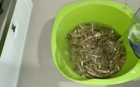 Trik Mudah Kurangi Rasa Asin pada Ikan Teri dengan Garam dan Air Biasa
