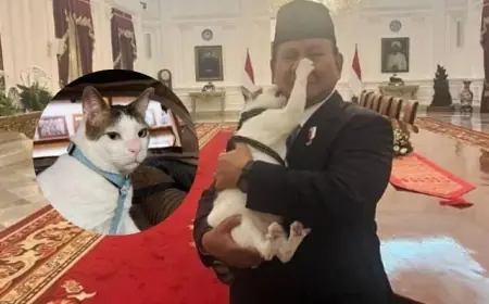 Siapa Lebih Menguasai Istana Negara, Prabowo atau Bobby Kertanegara?