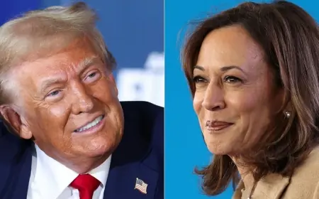 Mengetahui Bagaimana Sistem Pemilu di Amerika Serikat