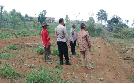 Kolaborasi Jalankan Instruksi Presiden, Polres dan Dispangtan Perkuat Ketahanan Pangan